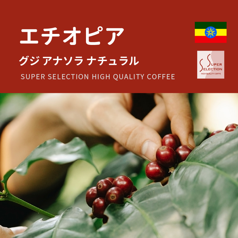 【SUPER SELECTION】エチオピア グジ アナソラ ナチュラルの特徴と味わい