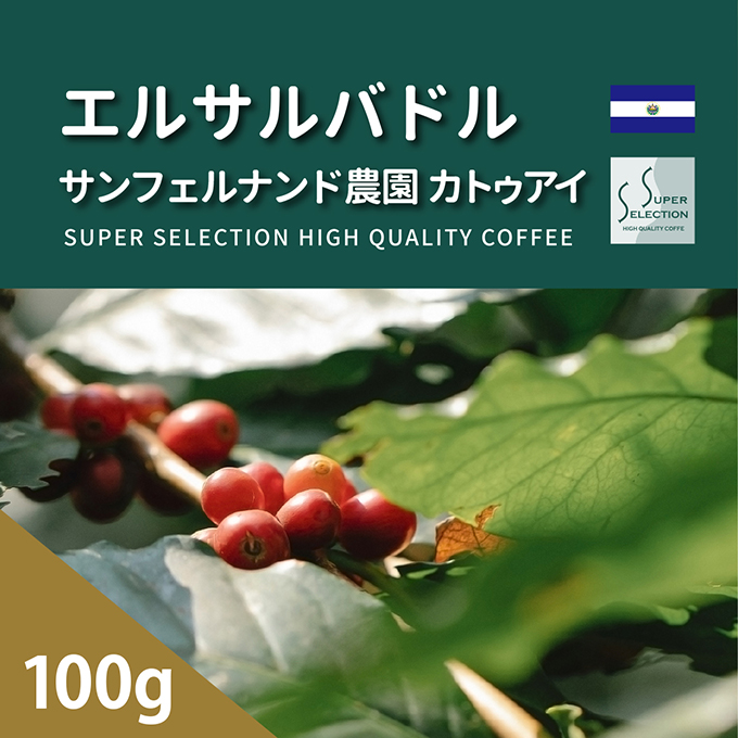エルサルバドル　サンフェルナンド農園　カトゥアイ　100g（豆／粉） 詳細画像 NO COLOR 1