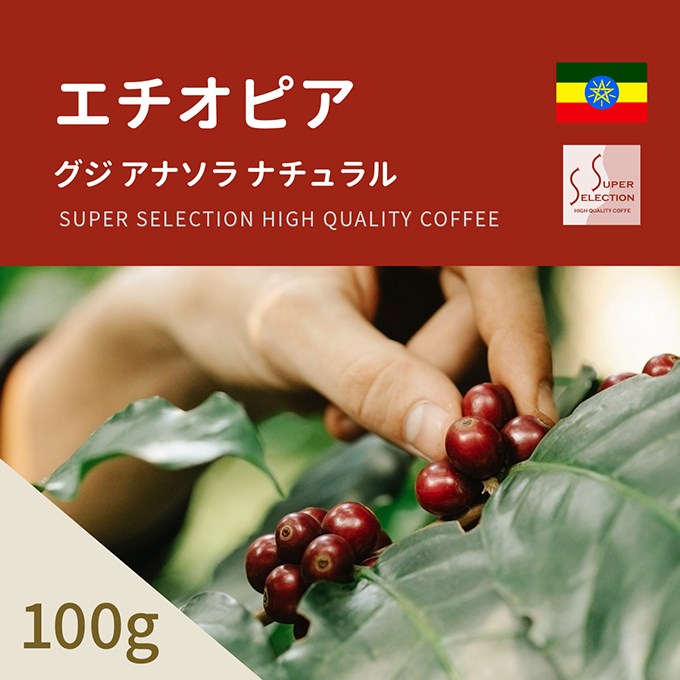 エチオピア グジ アナソラ ナチュラル　100g 詳細画像 NO COLOR 1