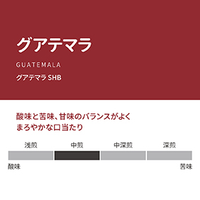 グアテマラ　 100g 詳細画像