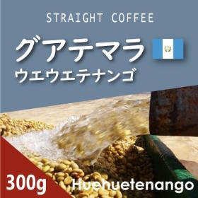 グアテマラ　ウエウエテナンゴ　300g
