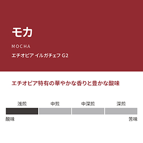 モカ　100g 詳細画像