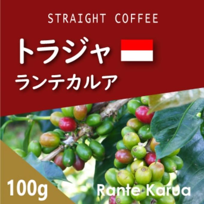 トラジャ　ランテカルア　100g 詳細画像 100g 1
