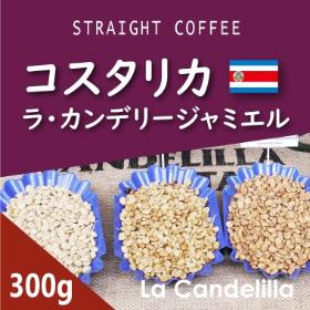 コスタリカ　ラ・カンデリージャ　ミエル　300g