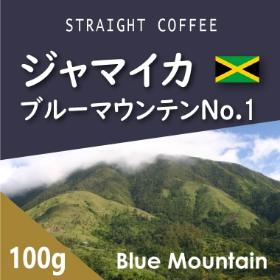 ブルーマウンテンNo1　100g