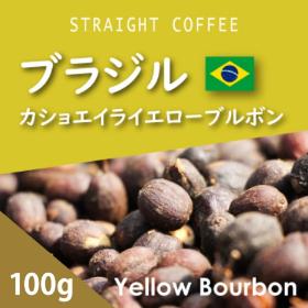 ブラジル　カショエイラ　ダ　グラマ農園イエローブルボン　100ｇ