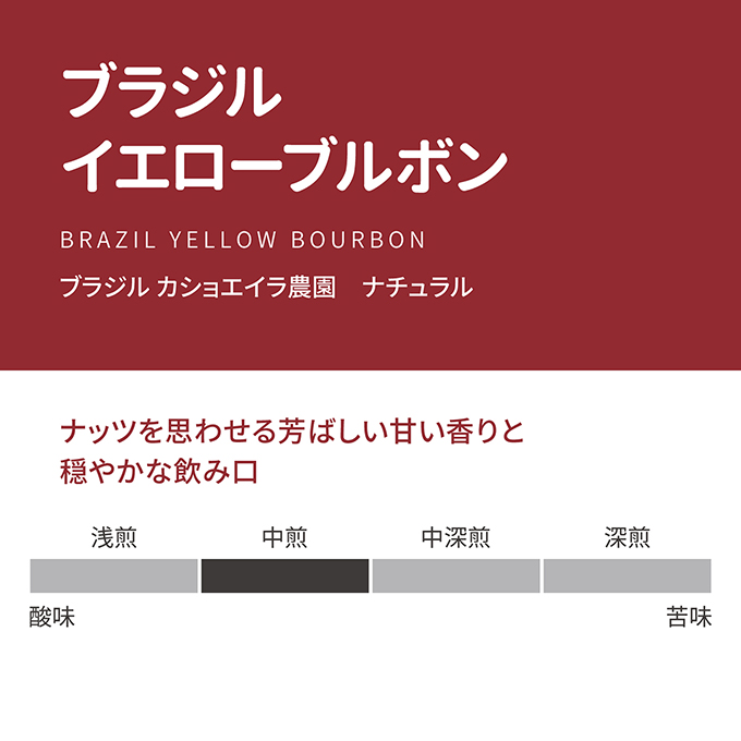 ブラジル　イエローブルボン　100g 詳細画像 NO COLOR 2