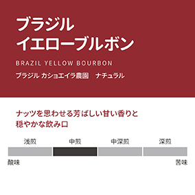 ブラジル　イエローブルボン　300g 詳細画像