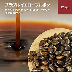ブラジル　イエローブルボン　300g 詳細画像