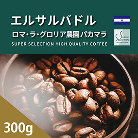 エルサルバドル ロマ・ラ・グロリア農園 パカマラ　300g