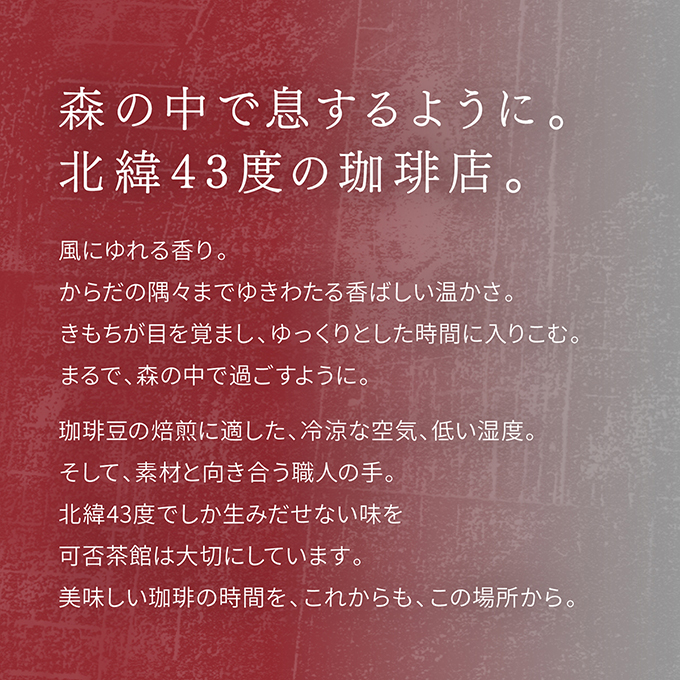 ボトルコーヒー　クリア 詳細画像 NO COLOR 5